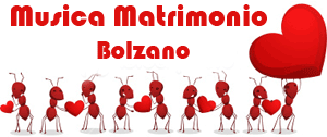 Logo musica per matrimonio e ricevimenti a Bolzano