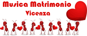 Logo musica per matrimonio e ricevimenti a Vicenza